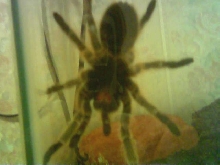 Underside of Chuck