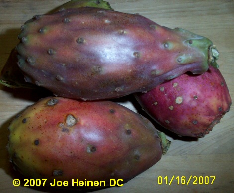 Catus fruit