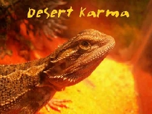 Desert Karma