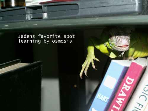 Jaden learning things by osmosis