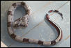 cb '01 1.0 guyana redtail striped