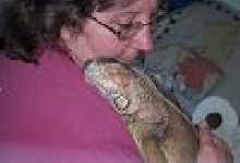 hugs