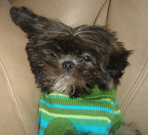 Chucky
