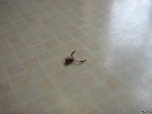 Can Anyone Identify?