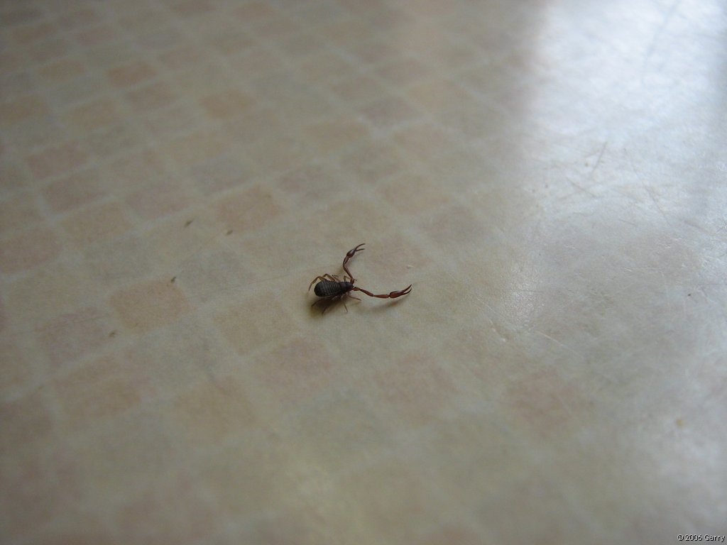 Can Anyone Identify?