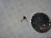 Can Anyone Identify?