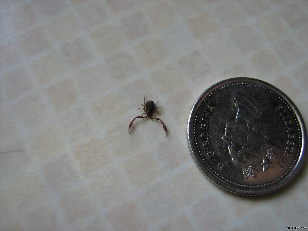 Can Anyone Identify?