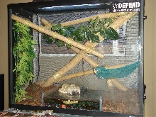 Buffet's Dual Habitat Terrarium
