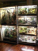 TERRA ROOM