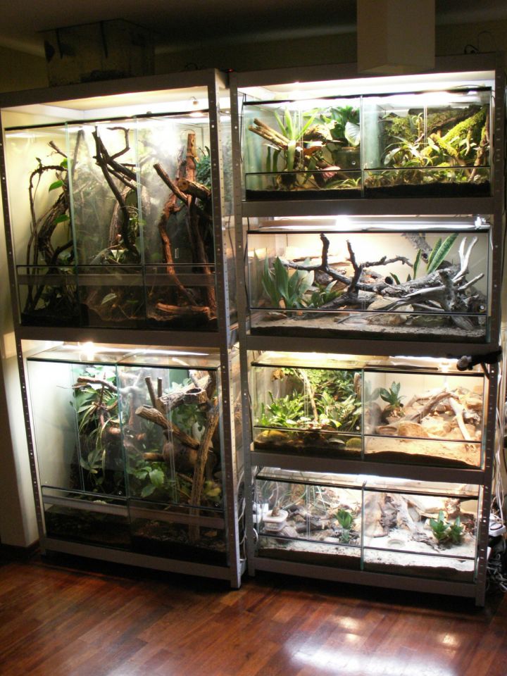 TERRA ROOM