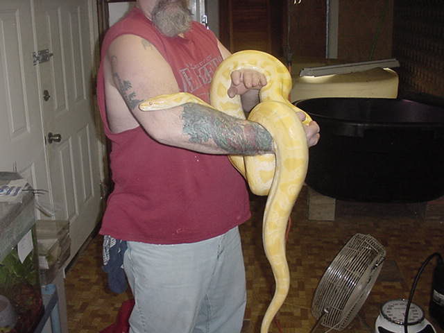 Young albino male