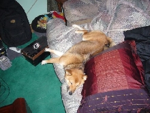 Being lazy