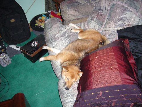 Being lazy