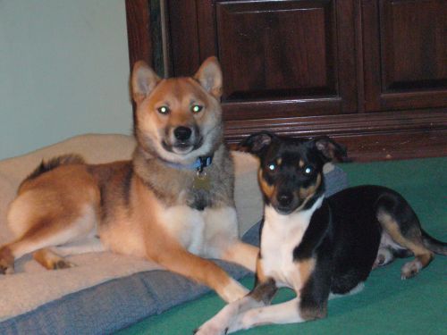 Jag & Rocco