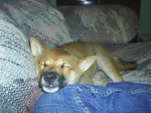 Sleeping on Mom