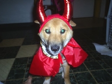 Jag's Halloween Costume