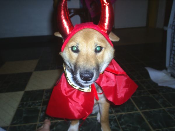 Jag's Halloween Costume