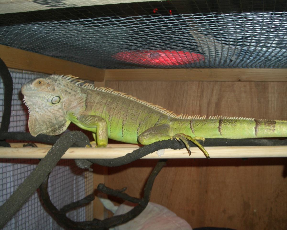 favorite lounge