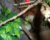 inside the lair