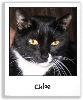 Chloe