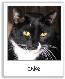Chloe