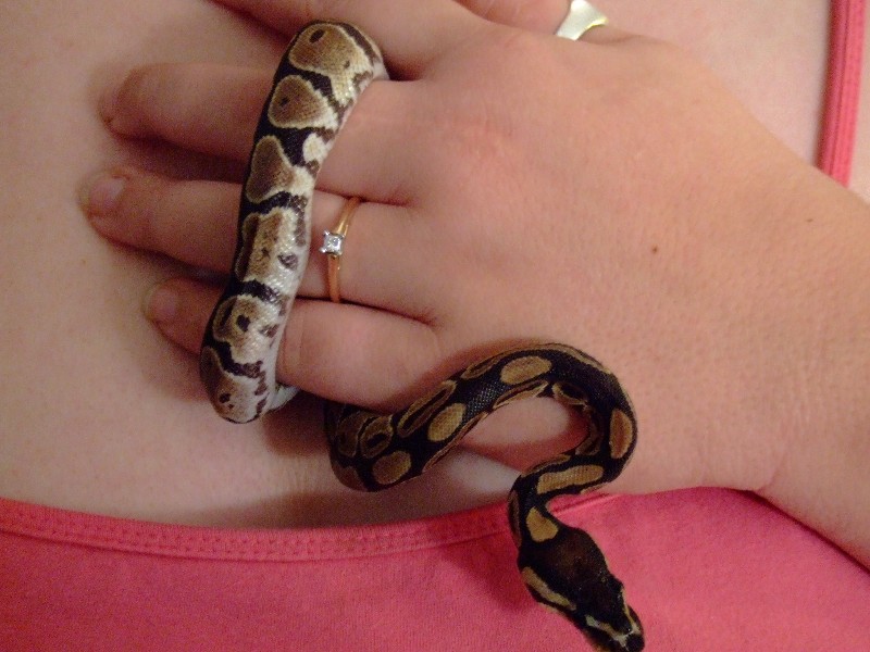 proposal2