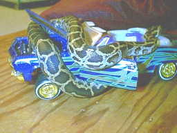 Burm & HotWheels