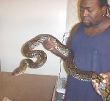 retic1