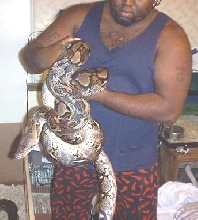 Retic2