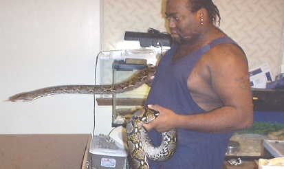 Retic3