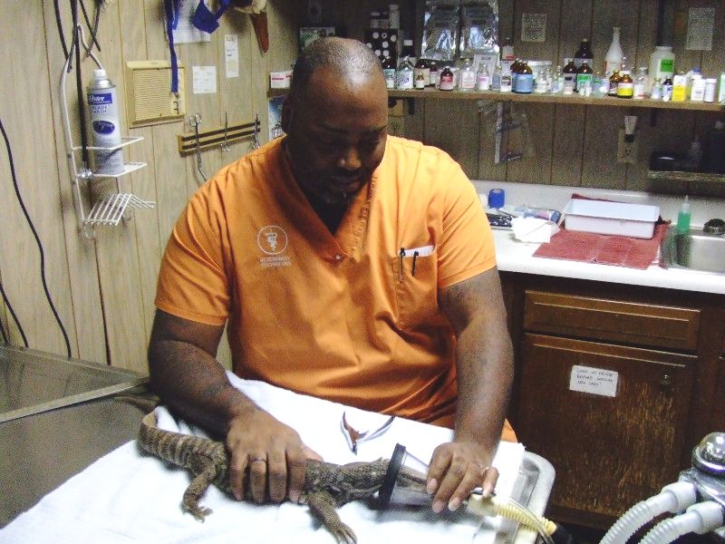 xray...me hard at work lol