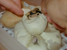 Pastels pipping