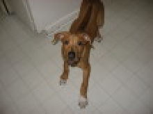 Argos 4 months