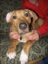 Argos, 4 months