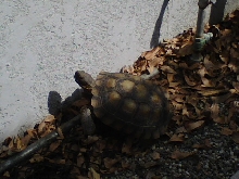 Whats he doing 2???
