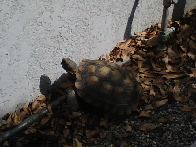 Whats he doing 2???