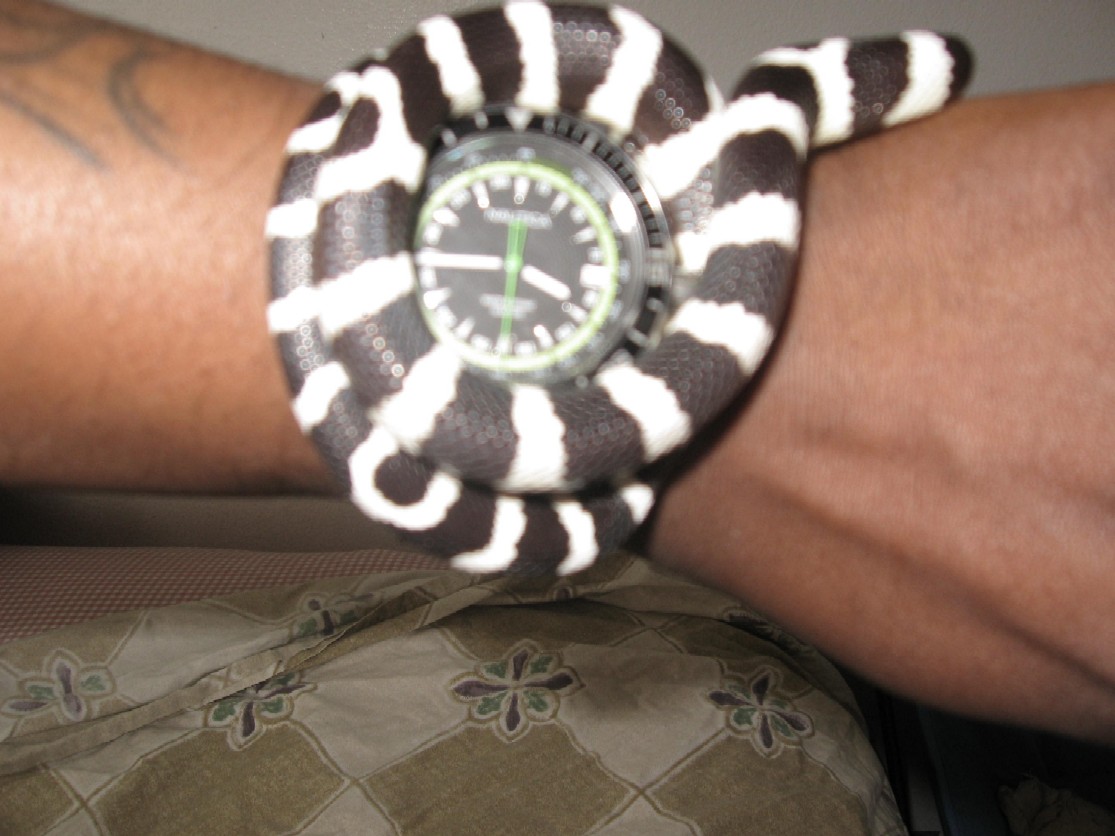 SNAKE TIME