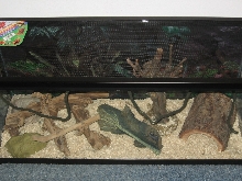 TANK