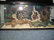 TANK