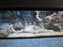 30 GALLON TANK SET UP