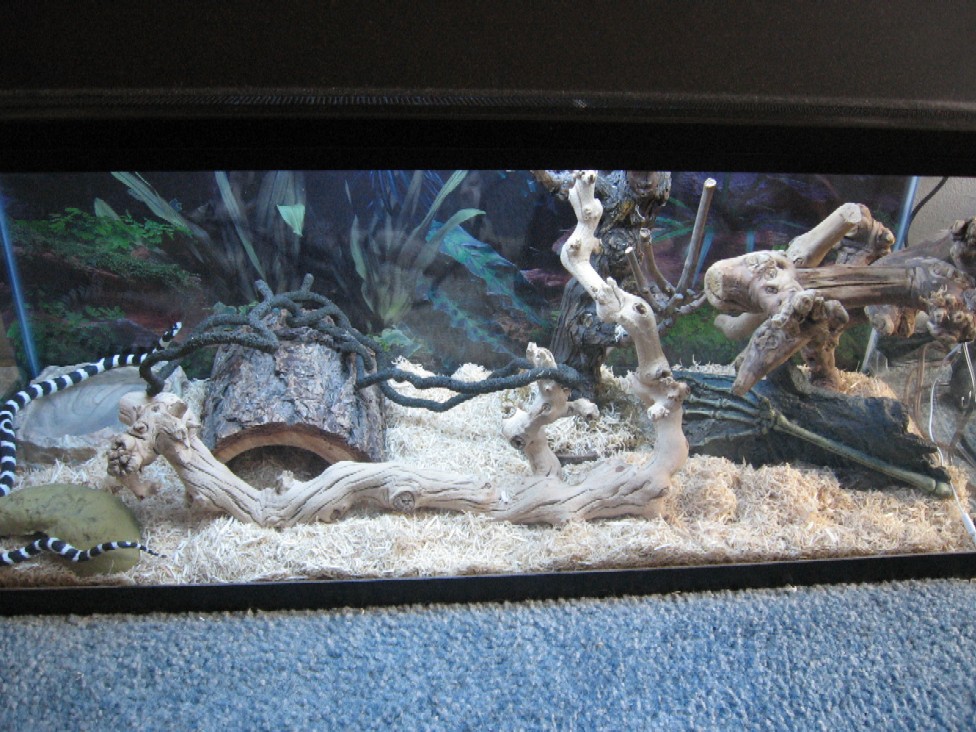 30 GALLON TANK SET UP