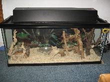 30g kingsnake set up
