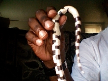 I NEED TO KNOW WHAT SEX MY SNAKE IS CAN SOMEONE HELP ME !