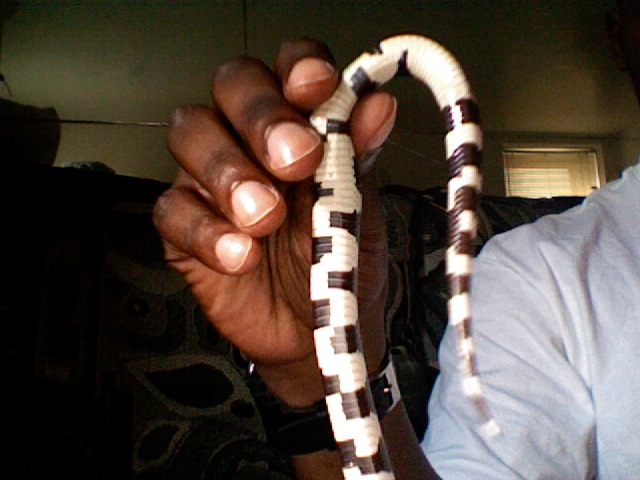 I NEED TO KNOW WHAT SEX MY SNAKE IS CAN SOMEONE HELP ME !