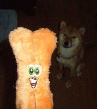 Who makes these toys?