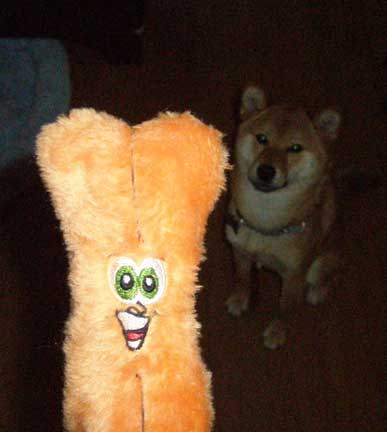 Who makes these toys?