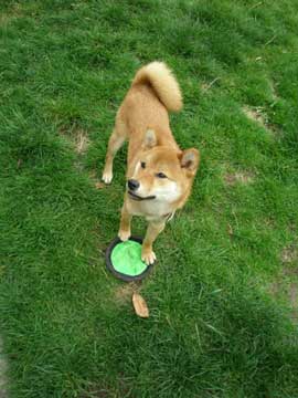 Nix 1st Birthday 01