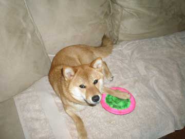 Nix 1st Birthday 02