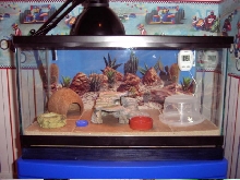 Junior's home