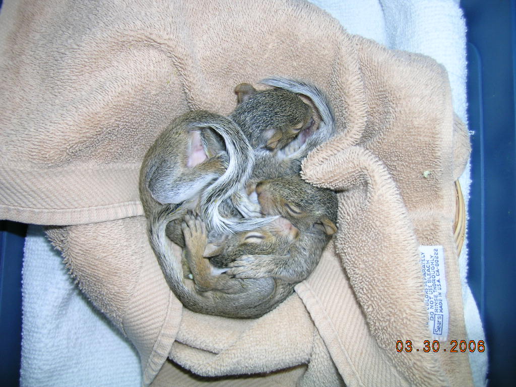 ...and then there were three.